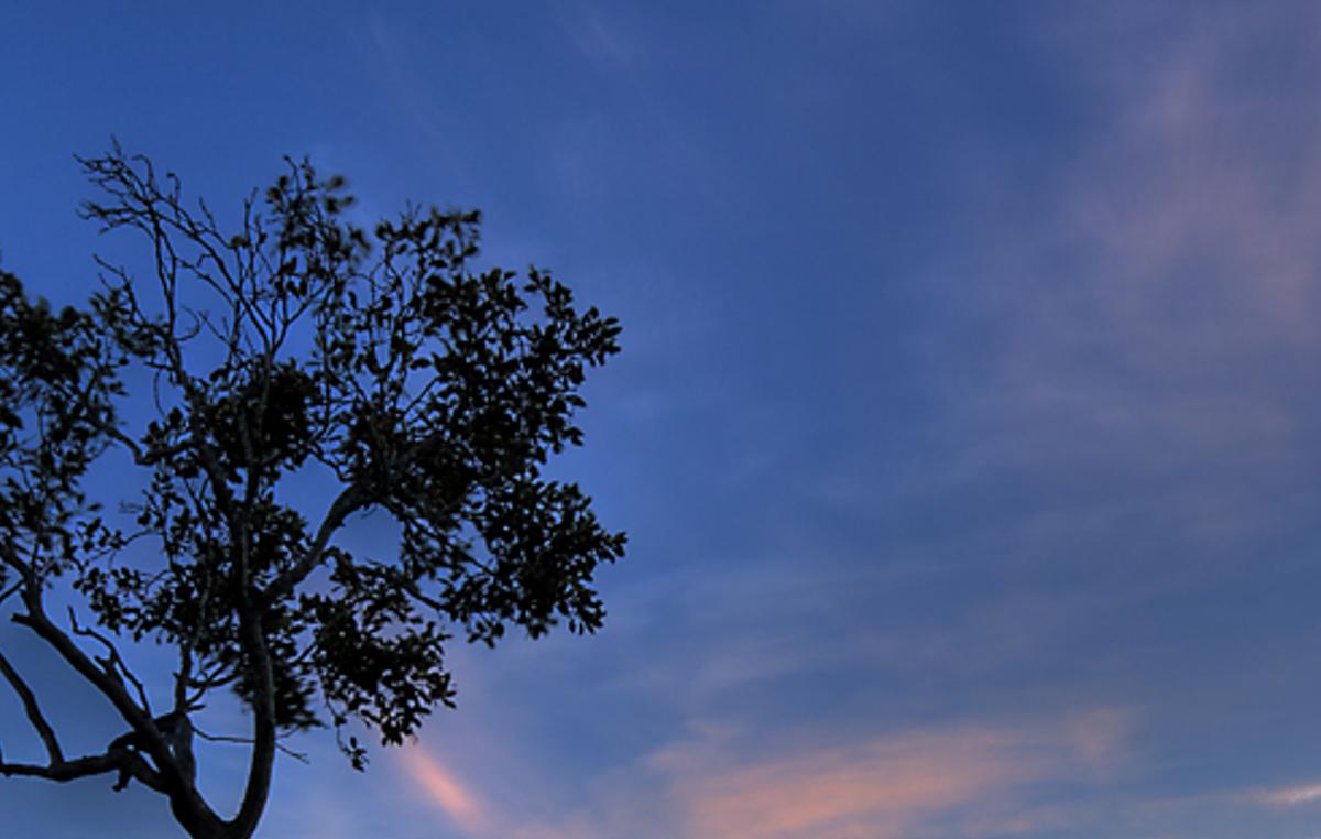 steaneer's profile banner image