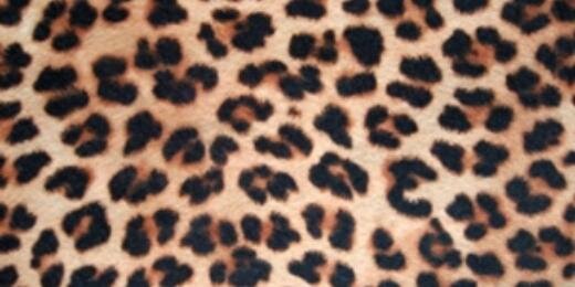 TaniaaaaaaaaaD's profile banner image