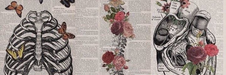 Linda banner