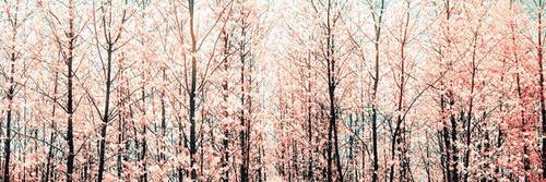 MarSnow_MJ's profile banner image