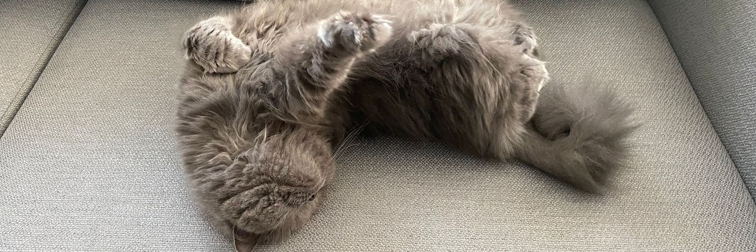 ilkerbltt's profile banner image