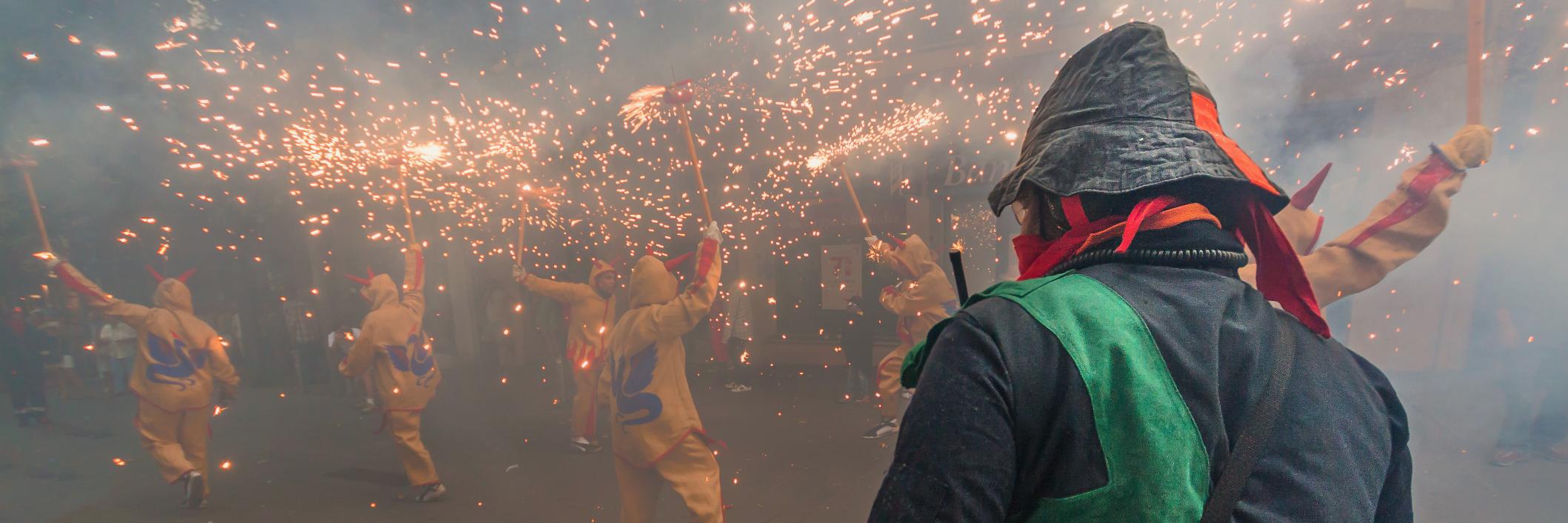 Equips de Suport banner