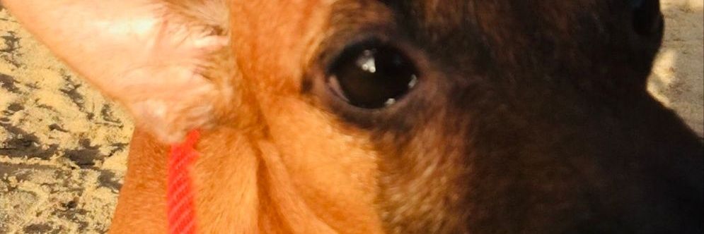 angesantiago10's profile banner image