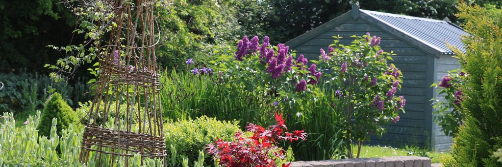 MomInTheGarden's profile banner image