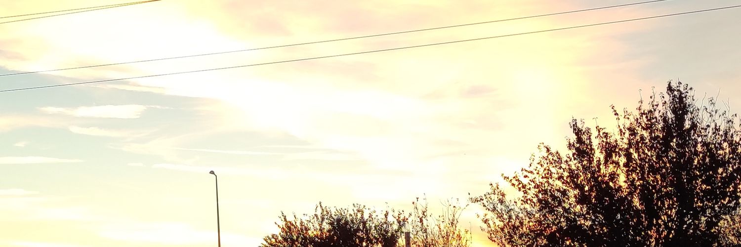 Scarlium's profile banner image