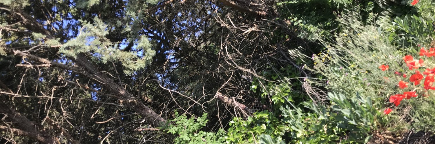 ohMyAC4__'s profile banner image
