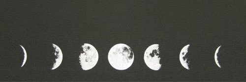 WildlyBitten's profile banner image