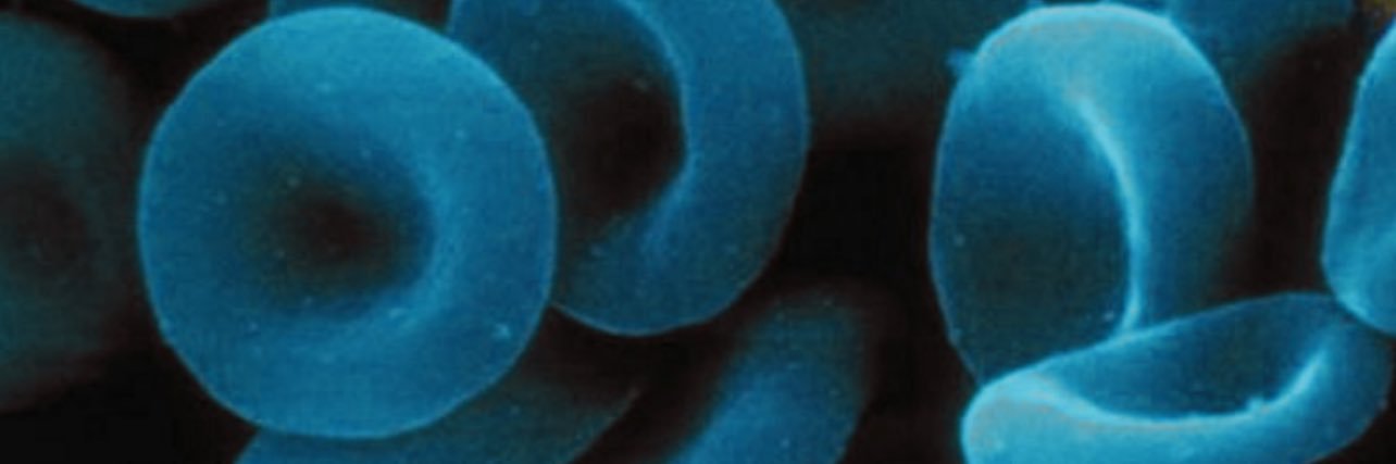 wout Hoogvorst banner