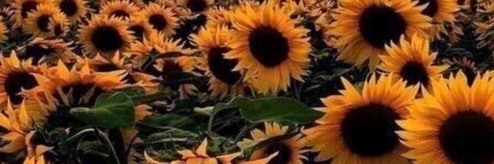 Tchu_fo's profile banner image