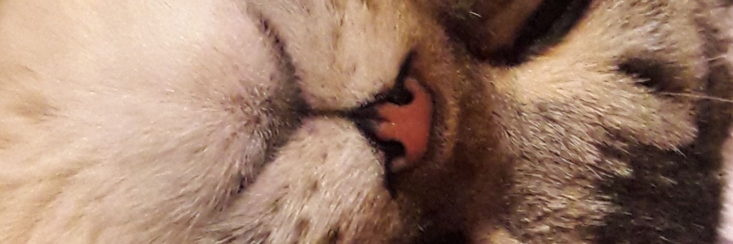 ColakFehmiye's profile banner image