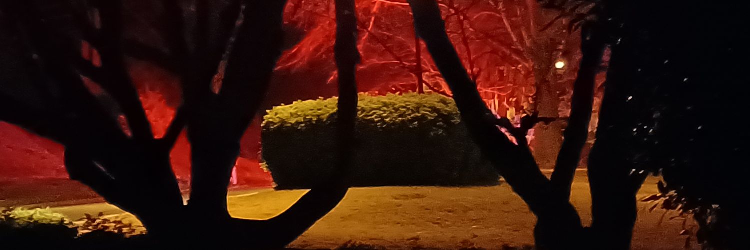 FishInTheBrook banner