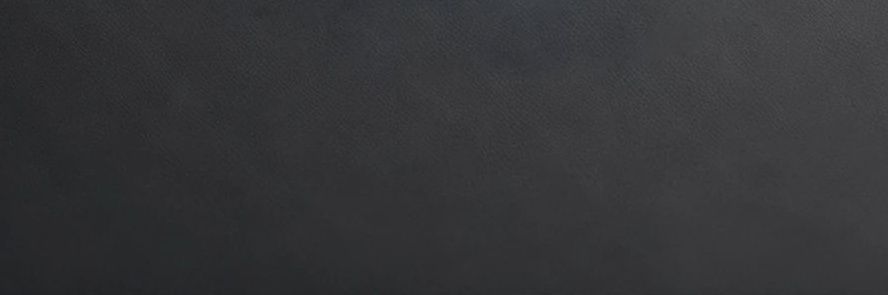 ORVION banner