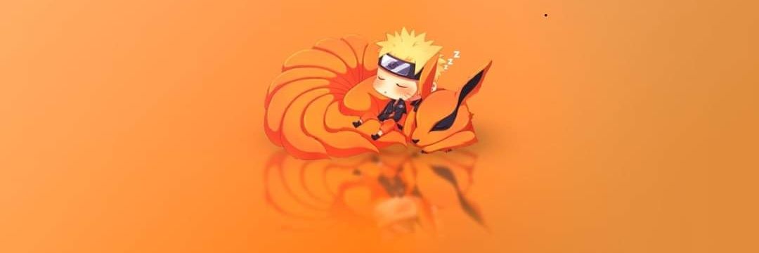 Nicolas Hogo banner