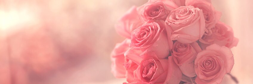 wendywicks7's profile banner image
