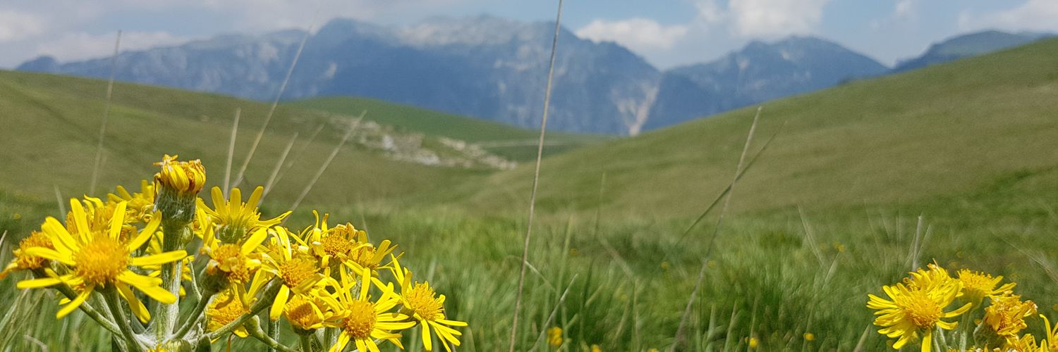 Luca Buratto banner