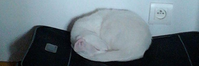 LaurabelD's profile banner image