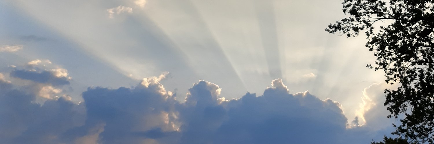 NT25787's profile banner image