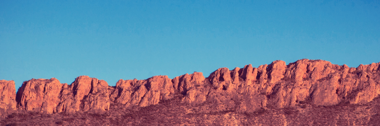 Wayabaaaa's profile banner image