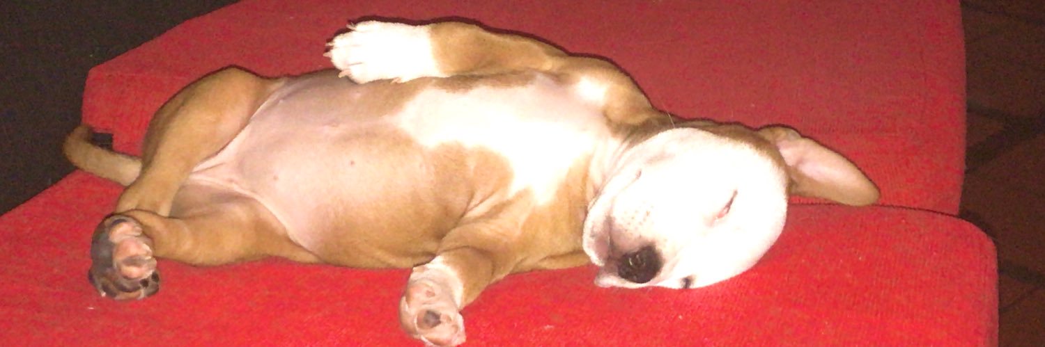 hernan_mara's profile banner image