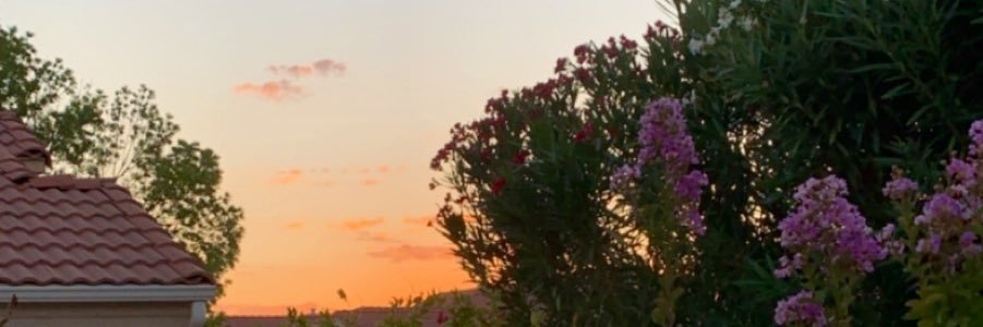 SydTann's profile banner image