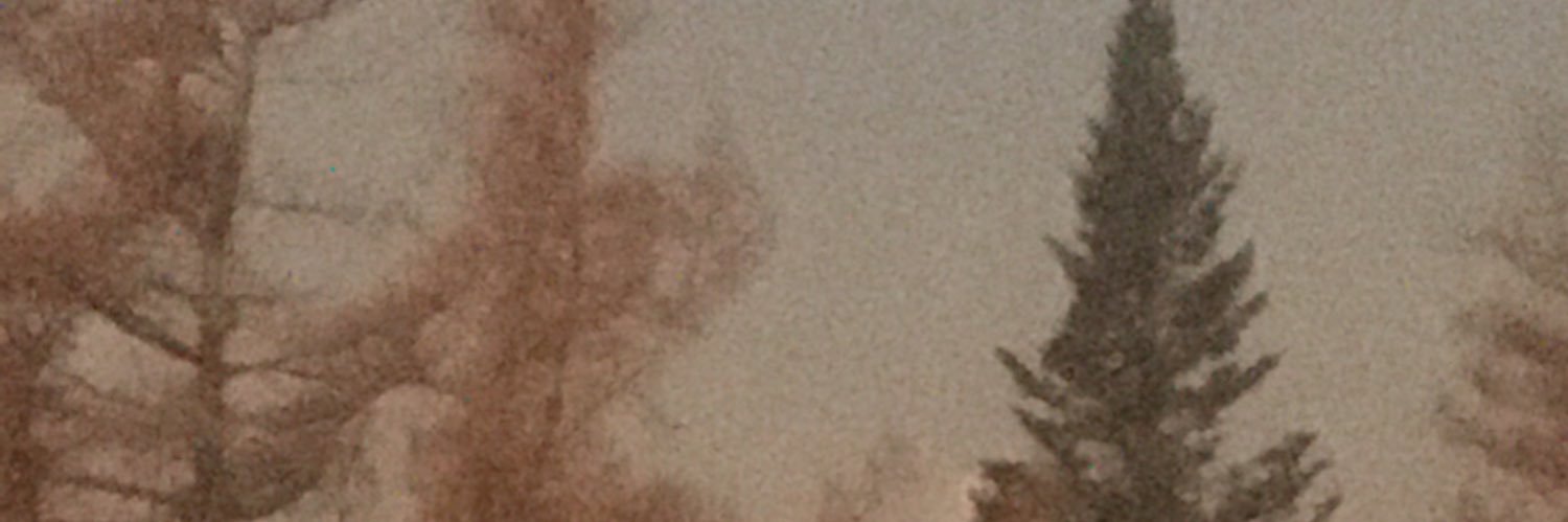 Brian_Moon95's profile banner image