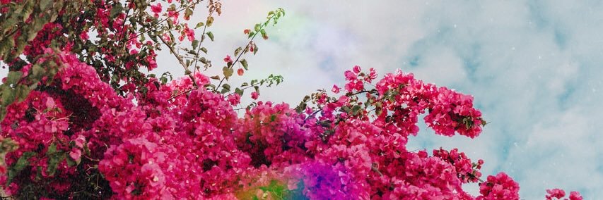 sm07503's profile banner image