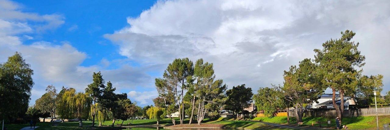 MicArismendi's profile banner image