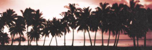 SickRicers's profile banner image