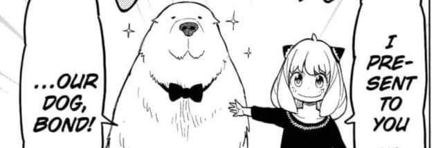 bitch_stupida's profile banner image