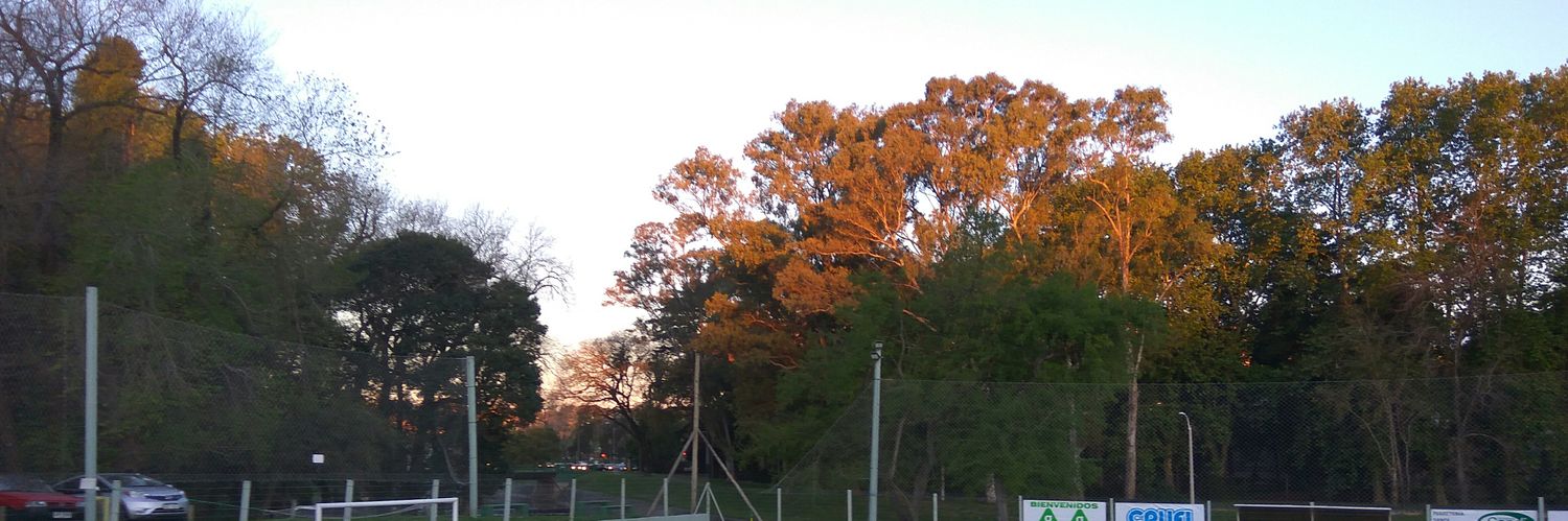 ricardo cordero banner