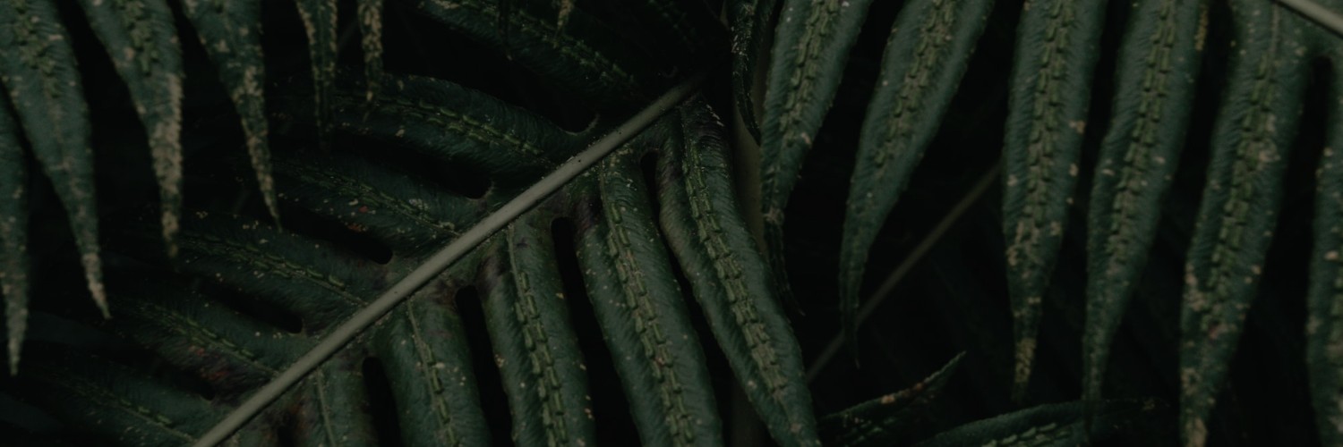 Paula Bianca Blomquist banner