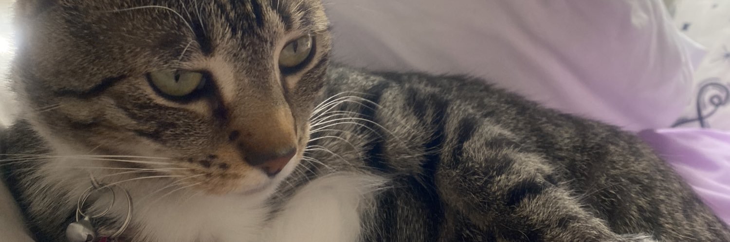 urdadsc0kebag's profile banner image