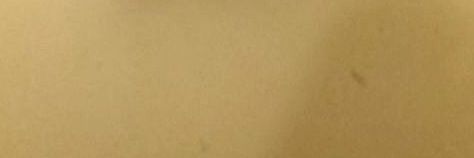 she banner