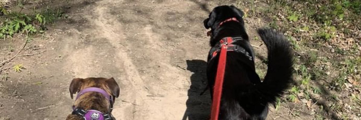 awkwardalbert1's profile banner image