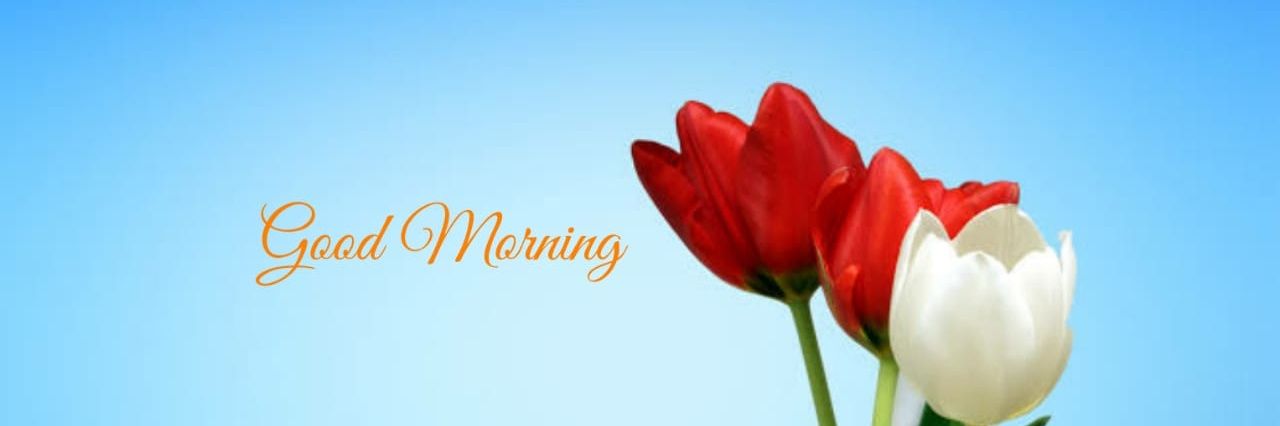 Rajesh0_5's profile banner image