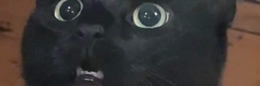 hollkers's profile banner image