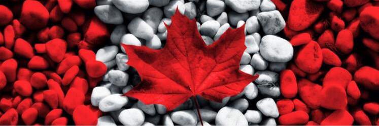 thibeau_michael's profile banner image