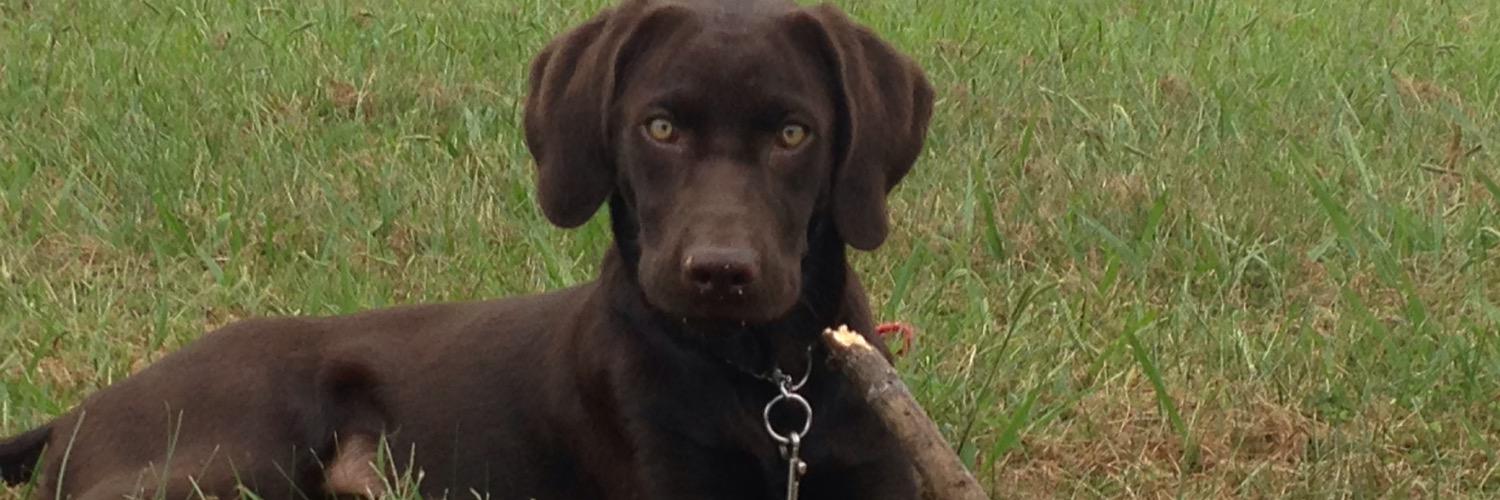 Smith1Gage's profile banner image