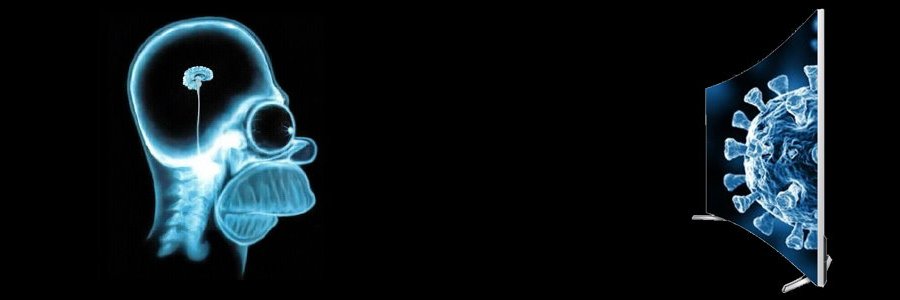 AdonisEvra's profile banner image