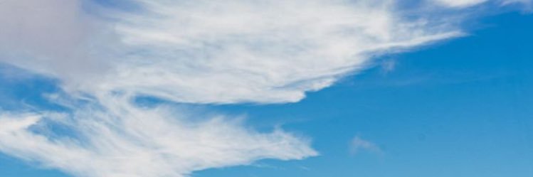 pedrocprond's profile banner image