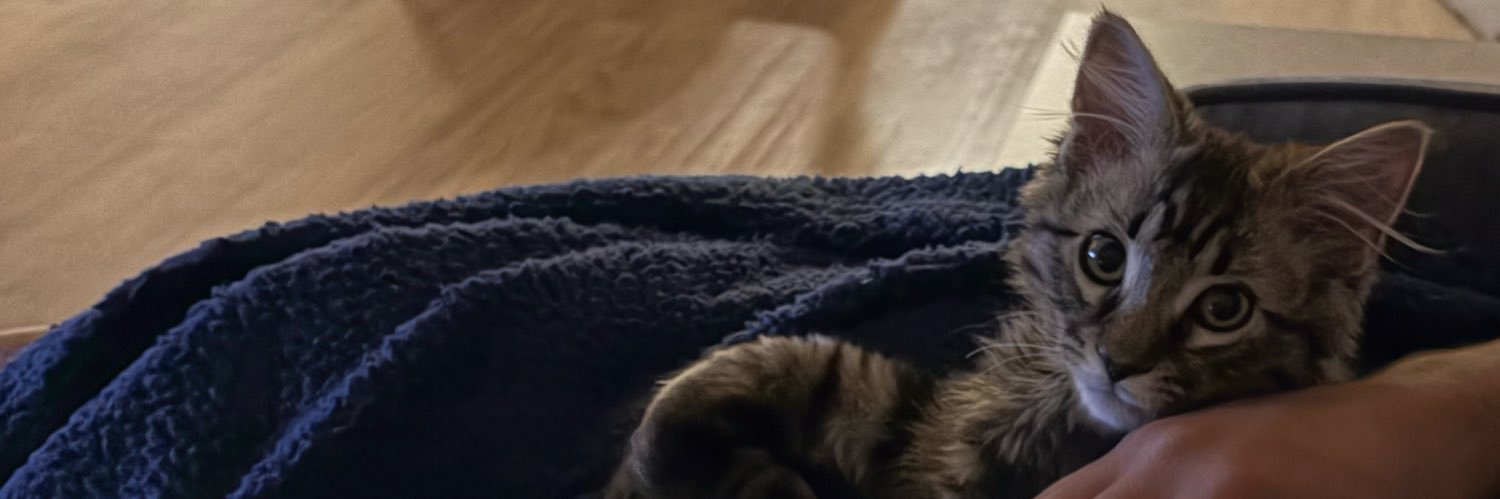 jveprr's profile banner image