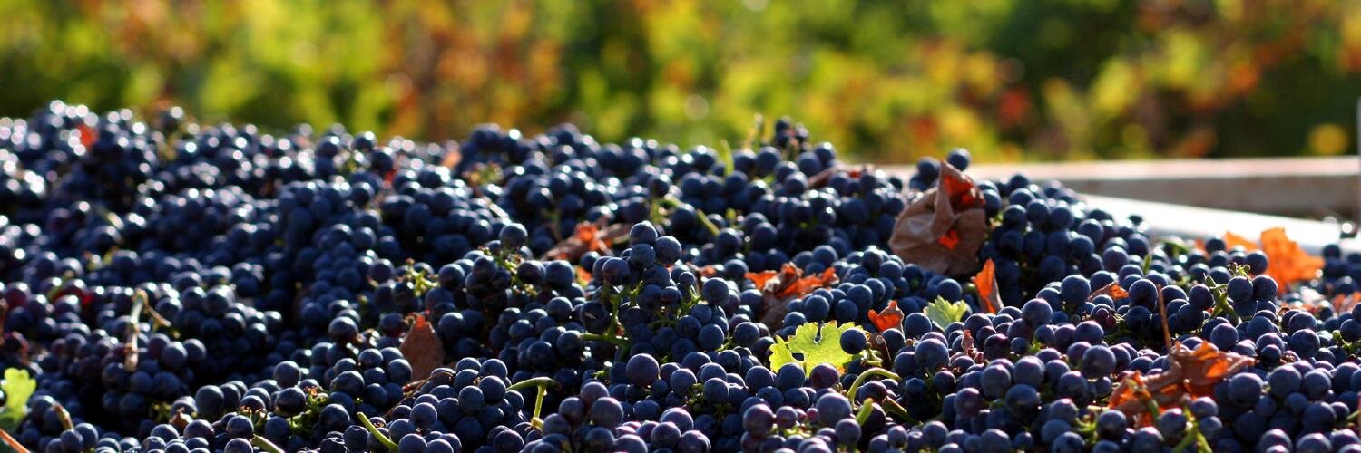 Howard Hewitt banner