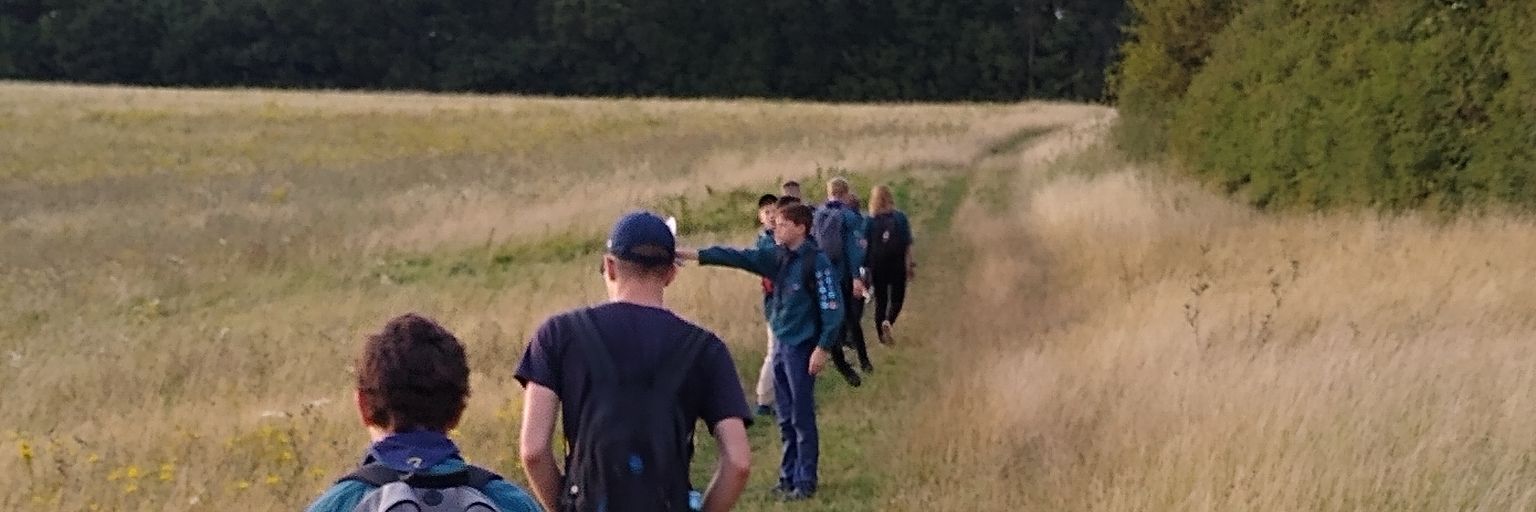 1st Taverham Scouts banner