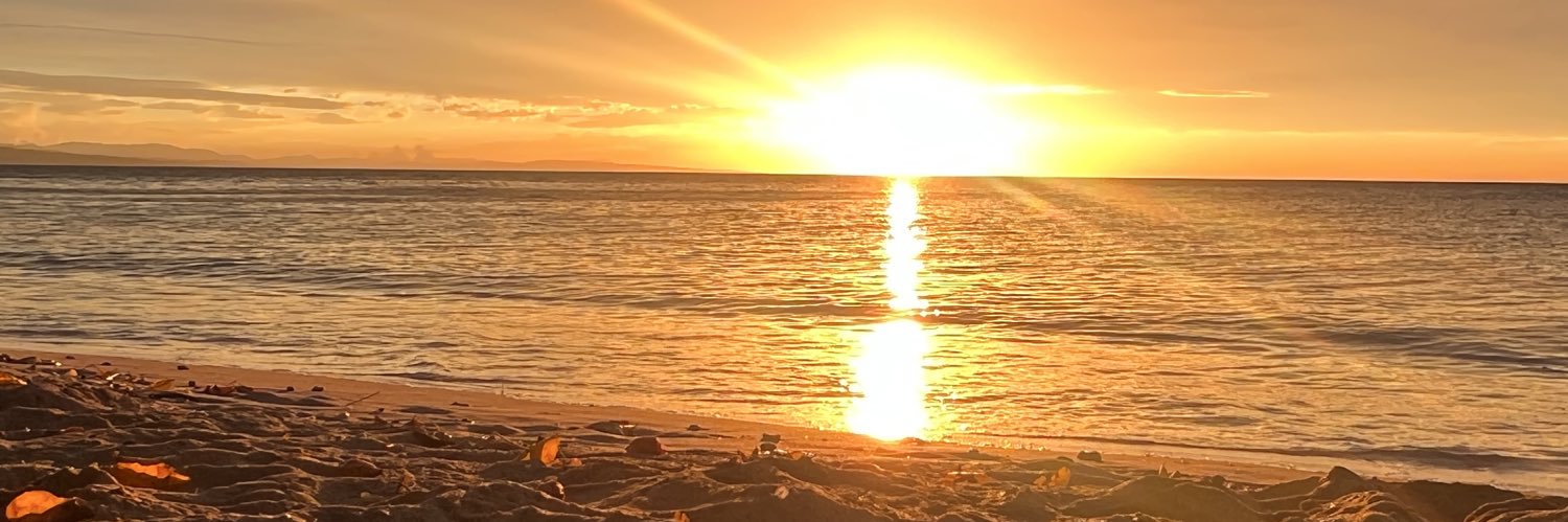 𝐴𝑟𝑙𝑦𝑦 🧚🏽‍♂️ banner