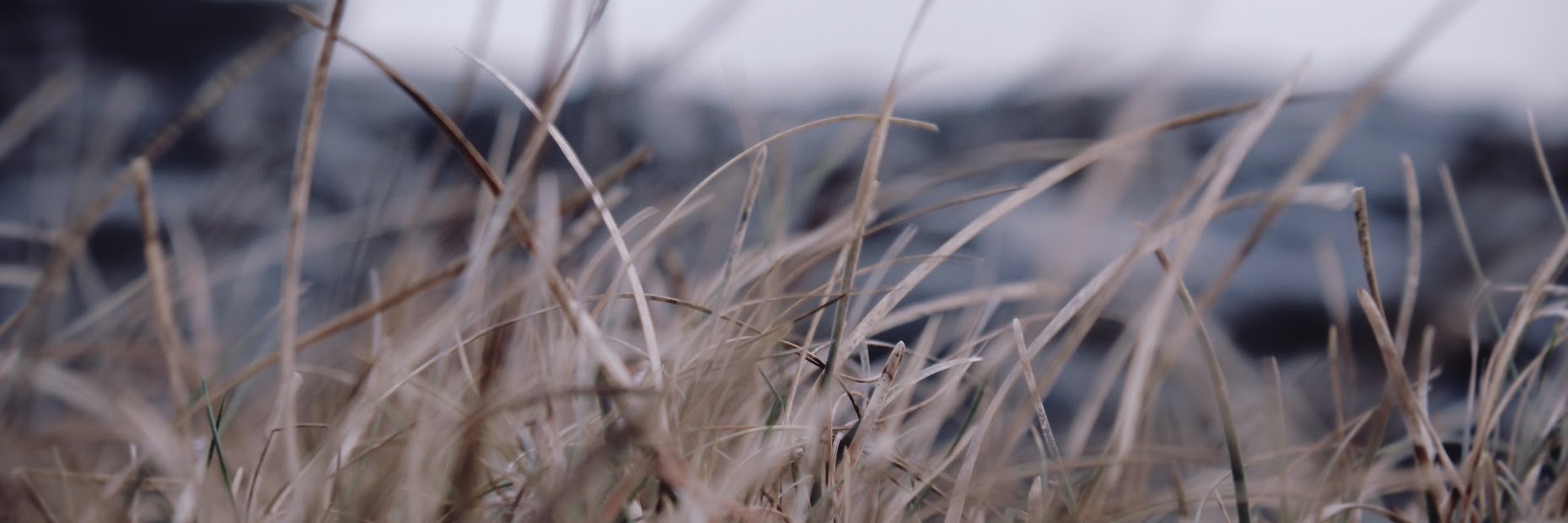 Ray O 'Farrell banner