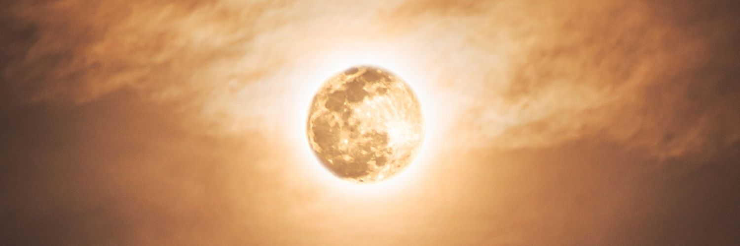 BeeHenry_'s profile banner image