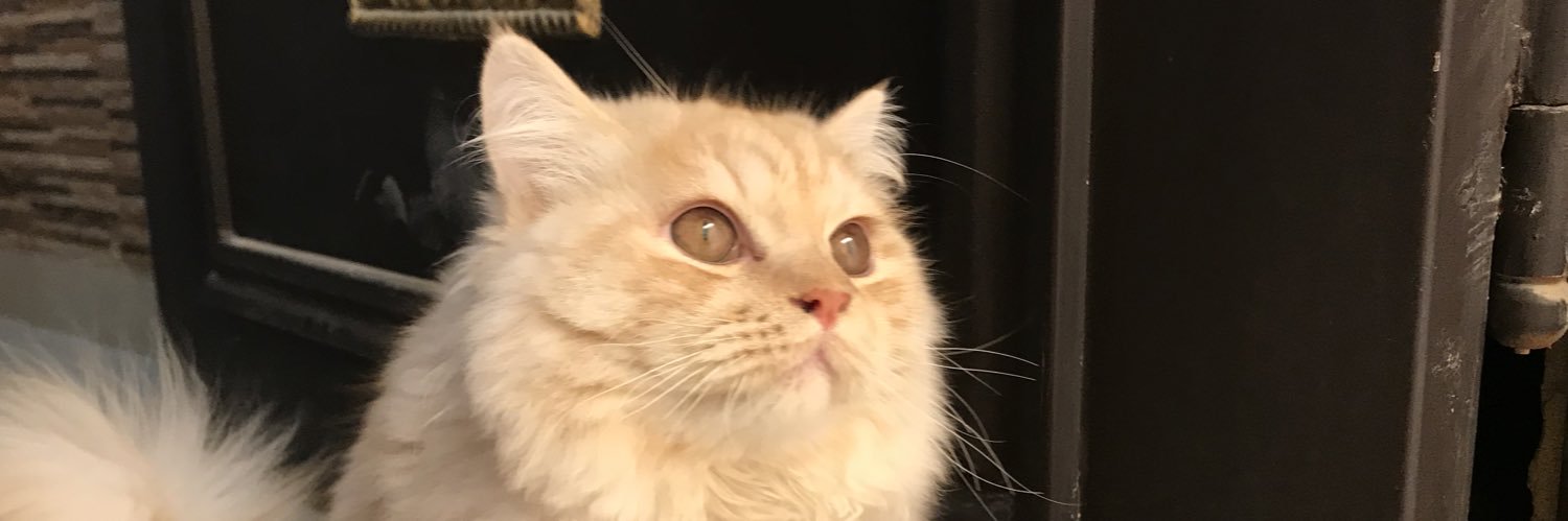 سهام السلامة banner