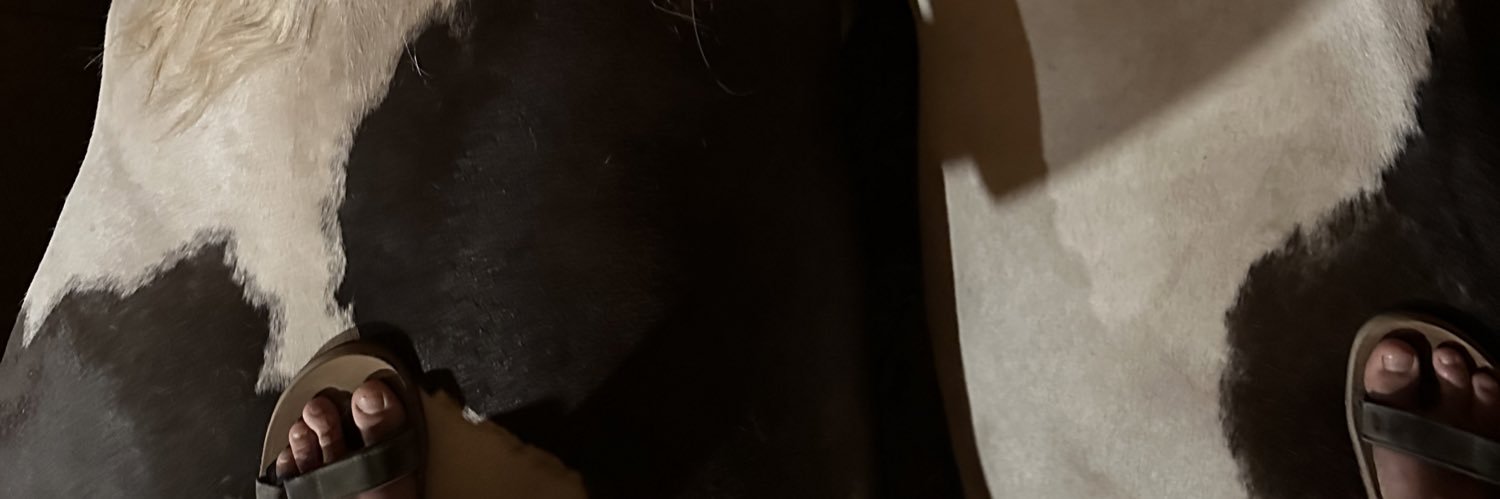 Walter D. Clapp banner