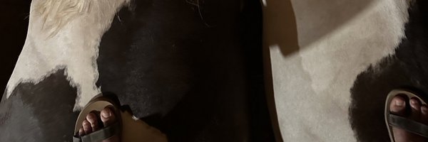 wdclapp Profile Banner