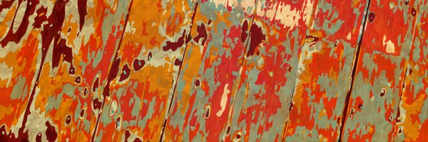 novalsi Profile Banner